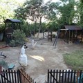 Yard & PlayGround