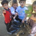 Environmental Education Programme