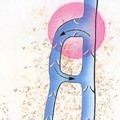 Veins - insufficiency of the central valve