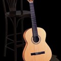 Classical guitars
