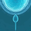 Εξωσωματική Γονιμοποίηση IVF