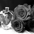 Eau de parfume