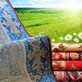 Carpet cleaning with ecological detergents