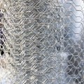 Hexagonal meshes