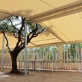 Special shelter structure with a combination of systems on a tubular beam frame