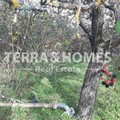 Αγροτεμάχιο 4000 τμ, Καλλίνδοια, Πετροκέρασα