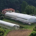 Επαγγελματικό Θερμοκήπιο (12x50) στο Άγιον Όρος