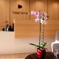 Δερματολογικό Ιατρείο TOTAL DERMA