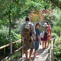 Botanical Garden - Xyloskalo (Omalos)