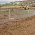 Περίφραξη αγροτεμαχίου με σωλήνα Φ42' και συρματόπλεγμα 2.2cm πάχος