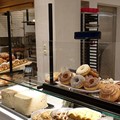Plexiglass Προστατευτικά Εστίασης
