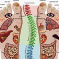 Reflexology chart