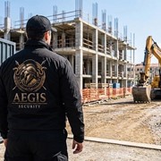 AEGIS SECURITY ELITE PROTECTION: Photos & Video