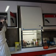 customer.pip_photo3_desc_descr