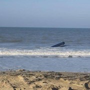 customer.pip_photo6_desc_descr