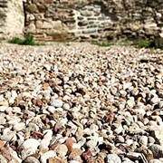 Pebble Floor Texture