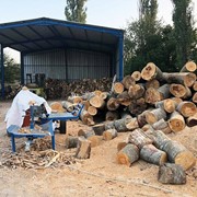 ΕΥΣΤΑΘΙΟΥ ΔΗΜΗΤΡΗΣ: Φωτογραφίες