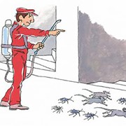 Μυοκτονίες
