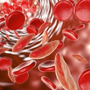 Anemia control