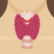 Examinations of the thyroid gland