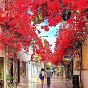 ΗΛΙΑΔΗΣ ΑΝΑΣΤΑΣΙΟΣ: Φωτογραφίες