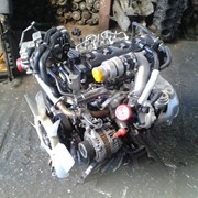 Engine NISSAN NAVARA D40 171-200ps