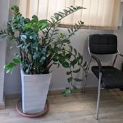 customer.pip_photo5_desc_descr