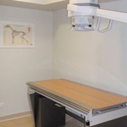 X-ray area