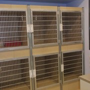 Cat treatment space