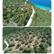 LEFKAS PROPERTY & DEVELOPMENT - ΦΙΛΙΠΠΑΣ ΒΑΣΙΛΗΣ: Φωτογραφίες