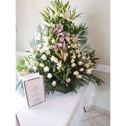 customer.pip_photo6_desc_descr