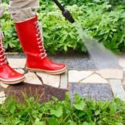 Cleaning front yards & gardens
