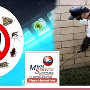 MEGA SERVICE: Φωτογραφίες & Βίντεο