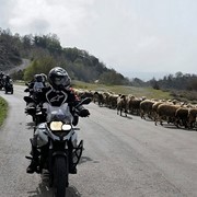 MOTORENT: Photos