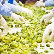 ISO 22000 - Σύστημα Διαχείρισης Ασφάλειας Τροφίμων