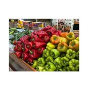 OPOROKASTRO: Photos