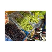 OPOROKASTRO: Photos