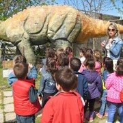 Excursion to Dinosaur Park