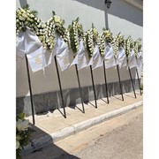 ΠΑΝΑΓΟΥΛΟΠΟΥΛΟΣ: Φωτογραφίες
