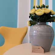 customer.pip_photo6_desc_descr