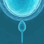 Εξωσωματική Γονιμοποίηση IVF