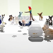 3D Dog Tag