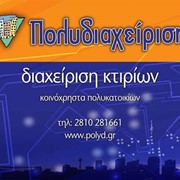 POLYDIACHEIRISI: Photos