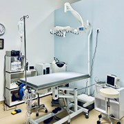 PRIMEVET - ASTITHAS KONSTANTINOS: Photos