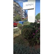 ΠΡΟΛΗΨΙΣ: Φωτογραφίες