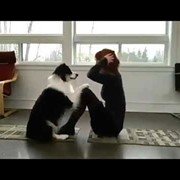 BELCANDO Dog Food