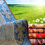 Carpet cleaning with ecological detergents