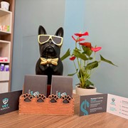 customer.pip_photo4_desc_descr