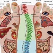Reflexology chart