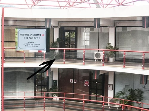 ΚΟΚΚΑΛΗΣ ΑΠΟΣΤΟΛΟΣ: Φωτογραφίες